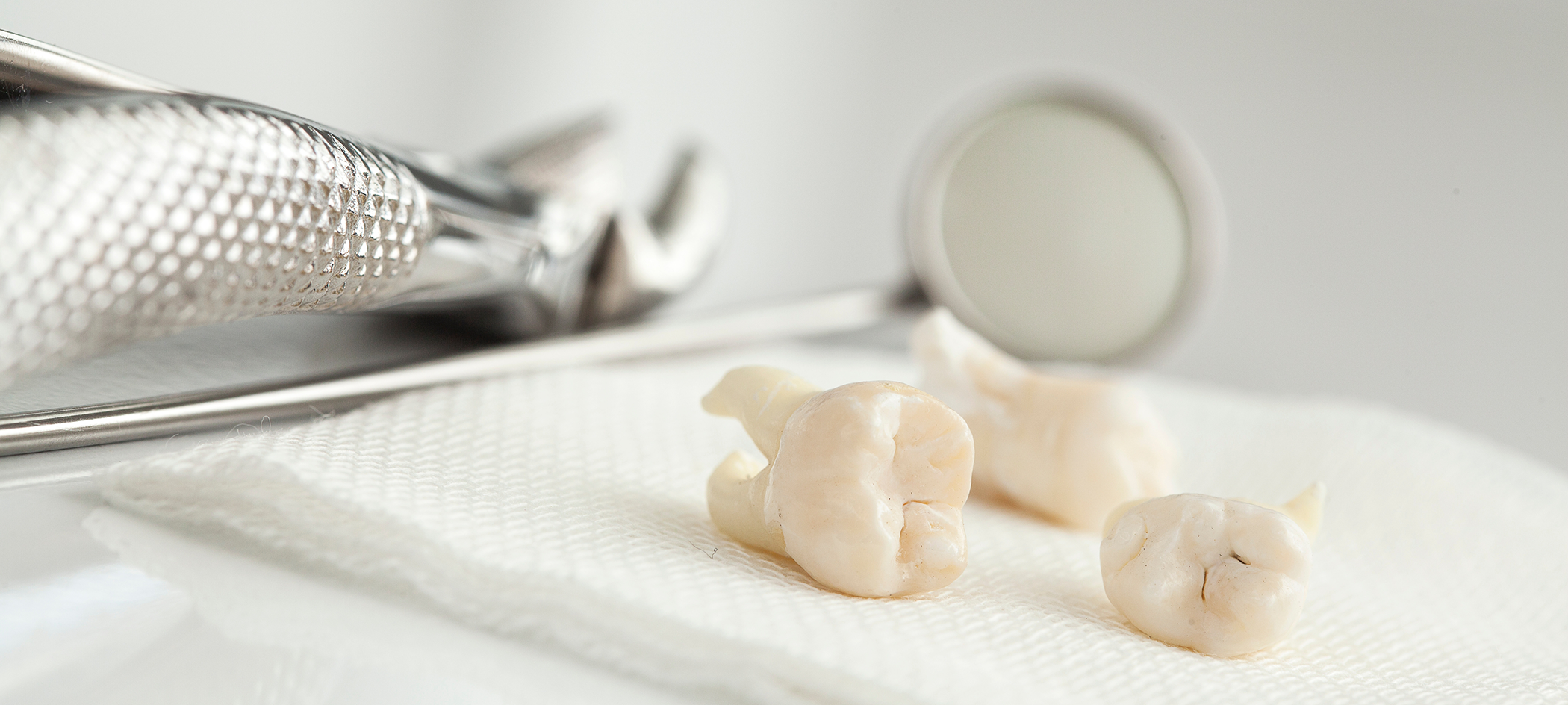 Several extracted teeth on a napkin next to dental instruments